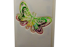 vlinder11